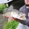 tomasznowak95