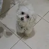 nicourq.0