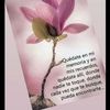 janethpacheco298