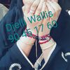 djelliwallis