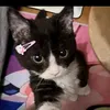 pinkymochiiii