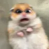 chewchowchuing
