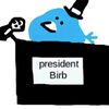president_birb