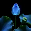 tubi19_02