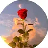 noor.um17