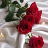 user9201777488541
