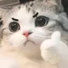 nanda_lemonilo