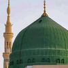 alishahzain512514