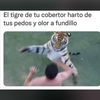 maria_252501