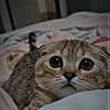 bbb_123321