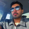 lion_mo8