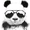 pandaj604
