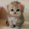 user_1873836290273
