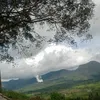nongpesek01