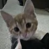 xxlenusiax4