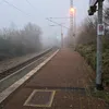 mark_jasim267