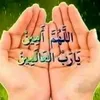 user082730254