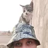 yacinimitable