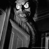 anonymous29482