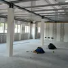 enacheadi0
