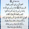 user4041374244519