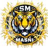 masny8791