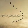 user58837930