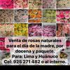 alicia_floreria