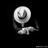 nmahmoudsayed