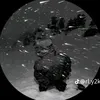 dog_do_mau