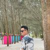 ferry_ann