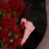 frola269