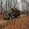 mikegray210wvlogtrucker