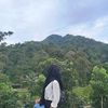 scc.yaya14