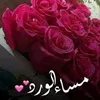 user071283102
