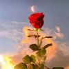 meeramalik72