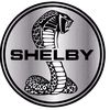 shelby.2007