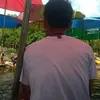 phisanu12