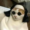 sugaringc01