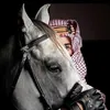 محمد القيسي
