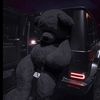 nightslonely