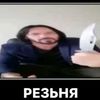 shurik3281