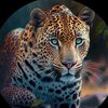 lions673