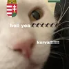 mrhungarianboy0