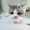 tnbt_t1