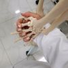 tibb_bacisi0020