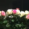 rrri.a