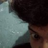 segotempenasikucing