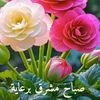 user227955373