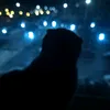 weka_gg_228